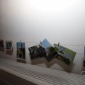 IMG_1670172