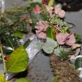 IMG_1669751