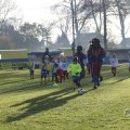 IMG_1672181
