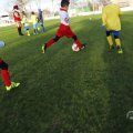 IMG_1672209