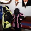 IMG_1672296