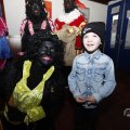 IMG_1672464