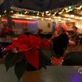 IMG_1674877