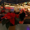 IMG_1674878