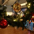 IMG_1674887
