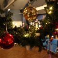 IMG_1674889