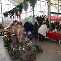 IMG_1674376