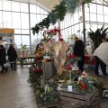IMG_1674378