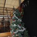 IMG_1674389