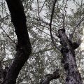 IMG_1674413