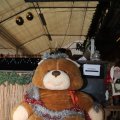 IMG_1674451