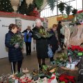 IMG_1674461