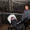 IMG_1674487