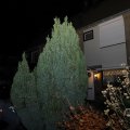 IMG_1676379