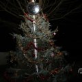 IMG_1676629