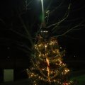 IMG_1676634