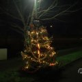 IMG_1676636