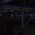 00052L2019