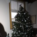 IMG_1677004