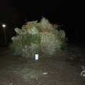 IMG_1678004