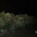 IMG_1678005