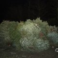 IMG_1678007