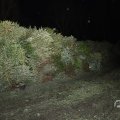 IMG_1678008