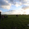 IMG_1679487