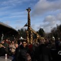 IMG_1679933
