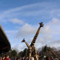 IMG_1679937