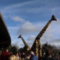 IMG_1679940