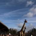 IMG_1679944