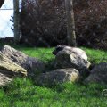 IMG_1679977
