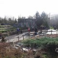 IMG_1679978
