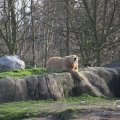IMG_1679984