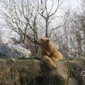 IMG_1679989