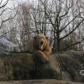 IMG_1679990