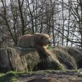 IMG_1679992