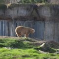 IMG_1679997