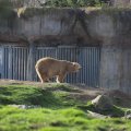 IMG_1679999