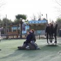 IMG_1680014