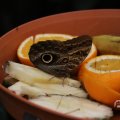 IMG_1680022