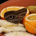 IMG_1680023