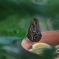 IMG_1680033