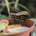 IMG_1680037