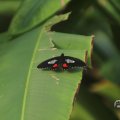 IMG_1680042