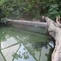 IMG_1680047