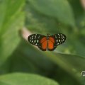 IMG_1680049