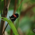 IMG_1680057