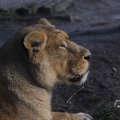 IMG_1680074